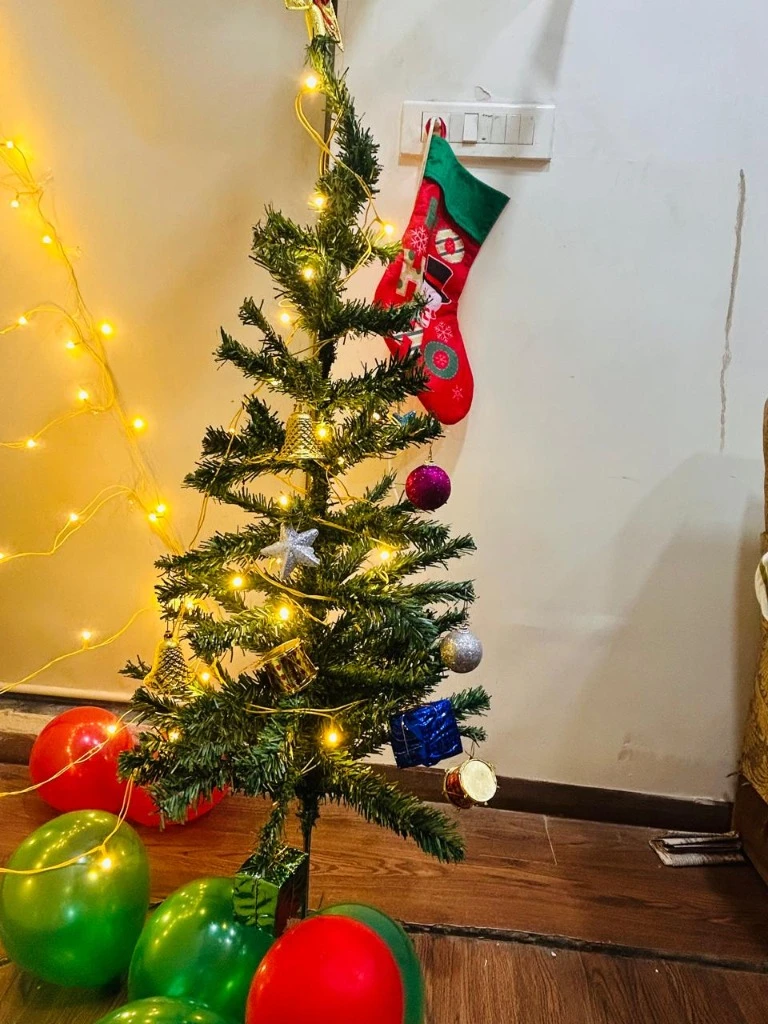 Holiday celebrations & Christmas tree
